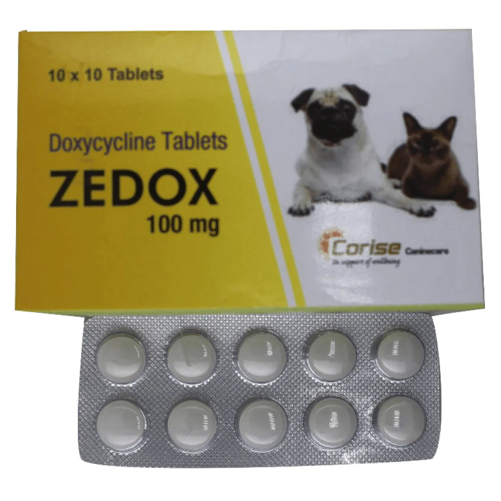 ZEDOX 100 TABLET