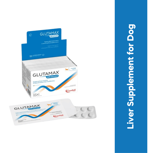 GLUTAMAX ADVANCE TABLET