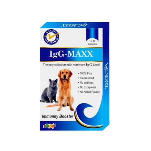 IGG-MAXX SACHET