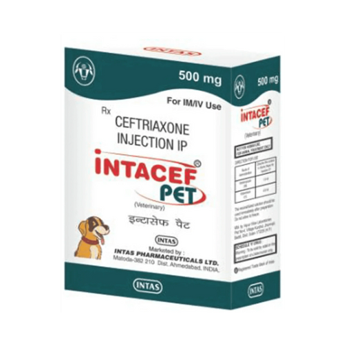 INTACEF PET 500MG INJ