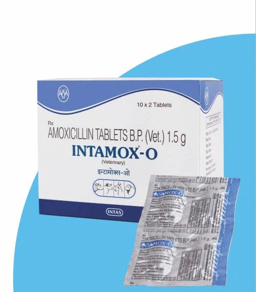 INTAMOX O BOLUS