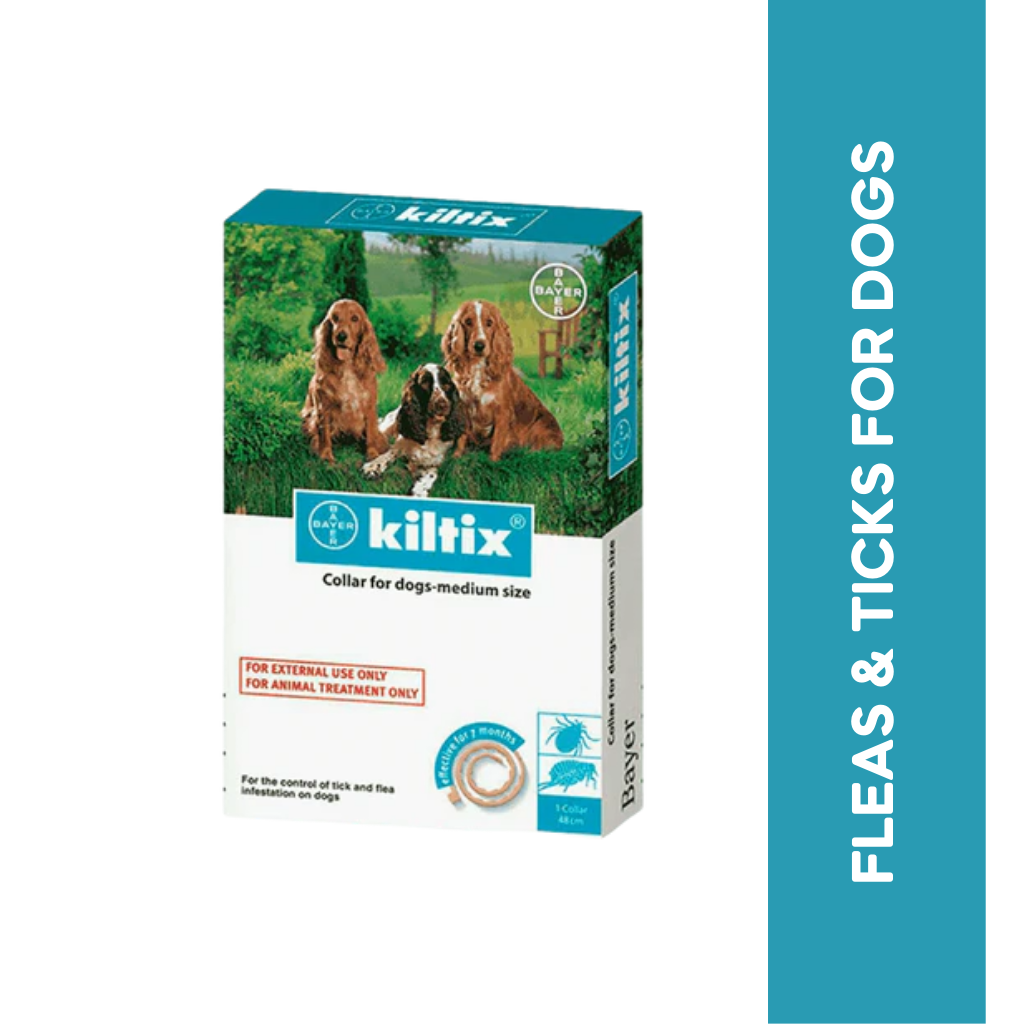 KILTIX MEDIUM DOG COLLAR