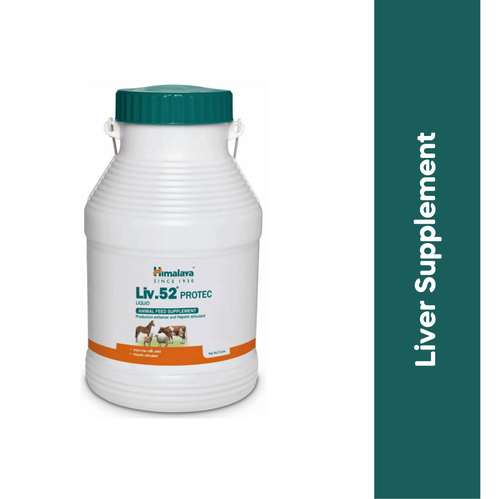 LIV-52 PROTEC LIQUID (L)