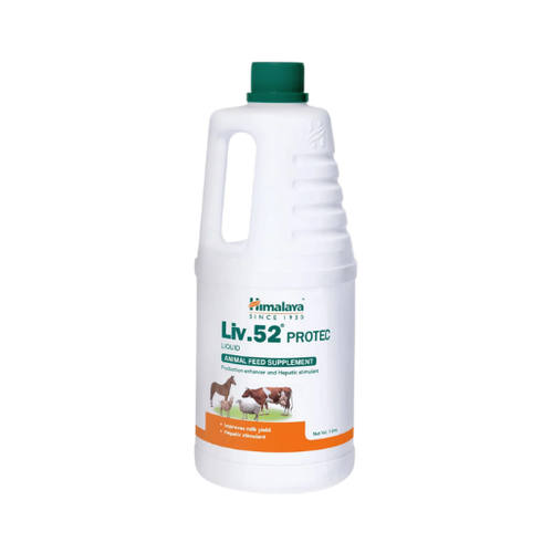 LIV-52 PROTEC SYRUP (M)