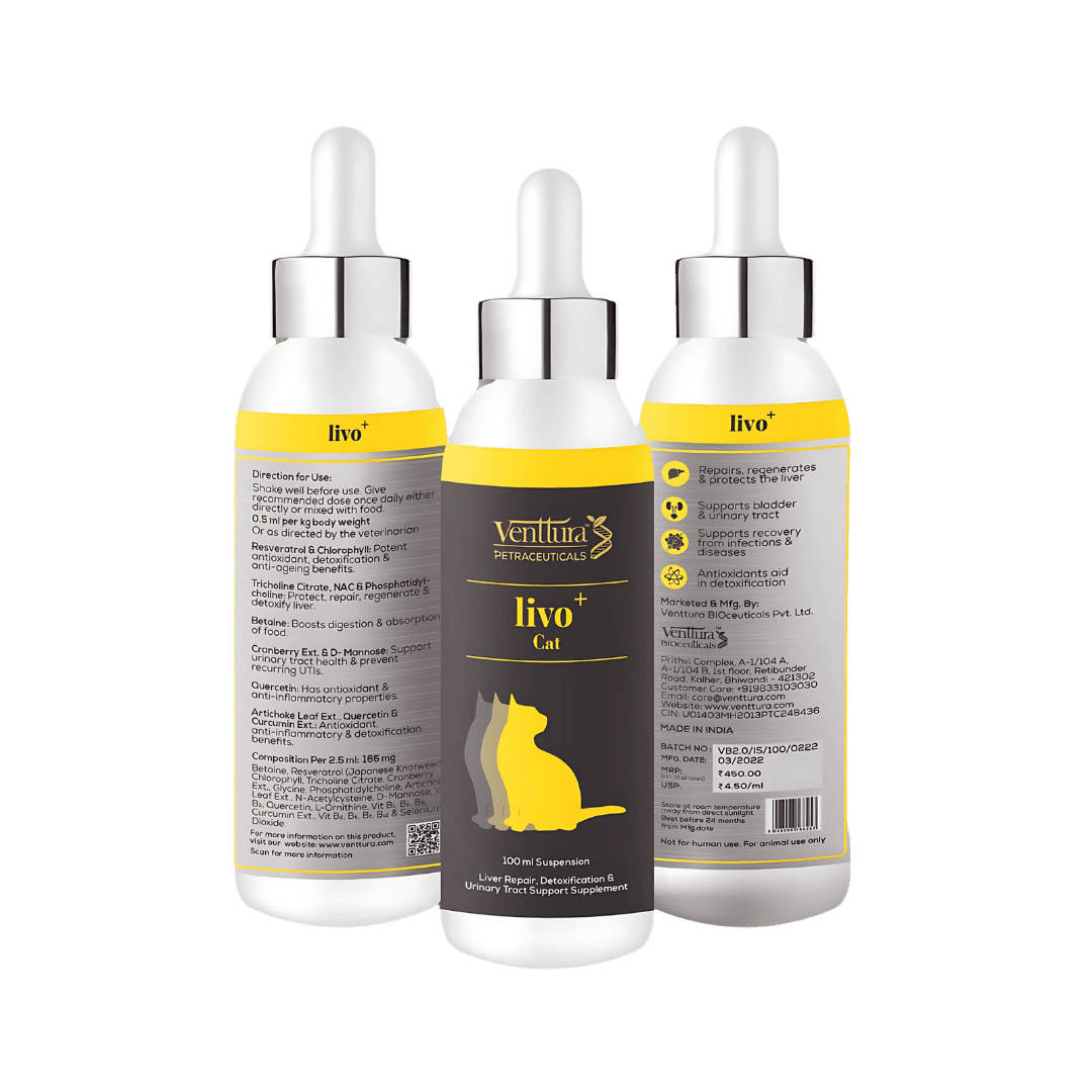 LIVO PLUS CAT LIQUID