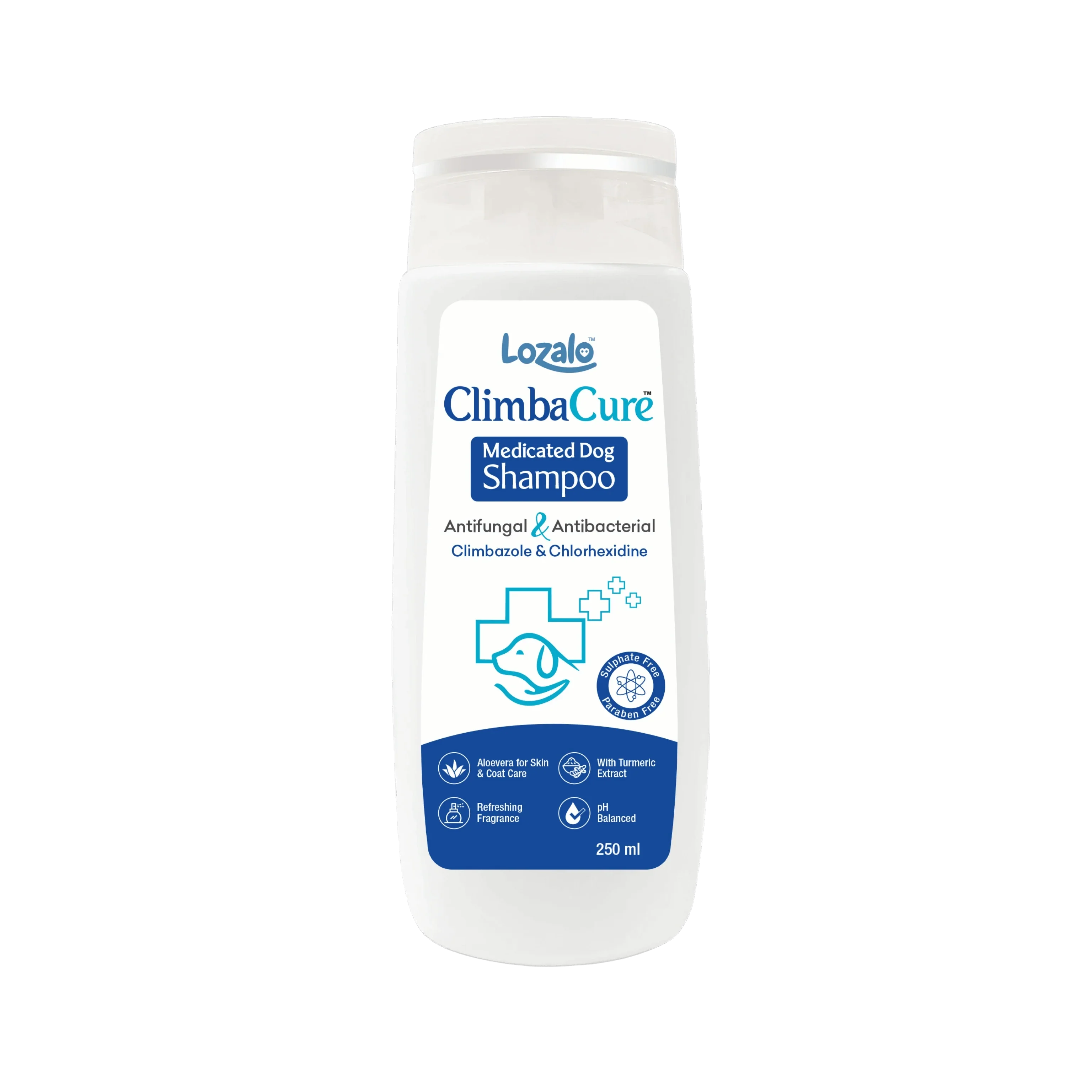 LOZALO CLIMBACURE SHAMPOO