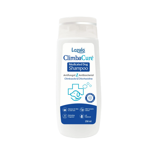 LOZALO CLIMBACURE SHAMPOO