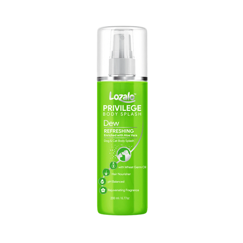 LOZALO PR DEW BODY SPLASH