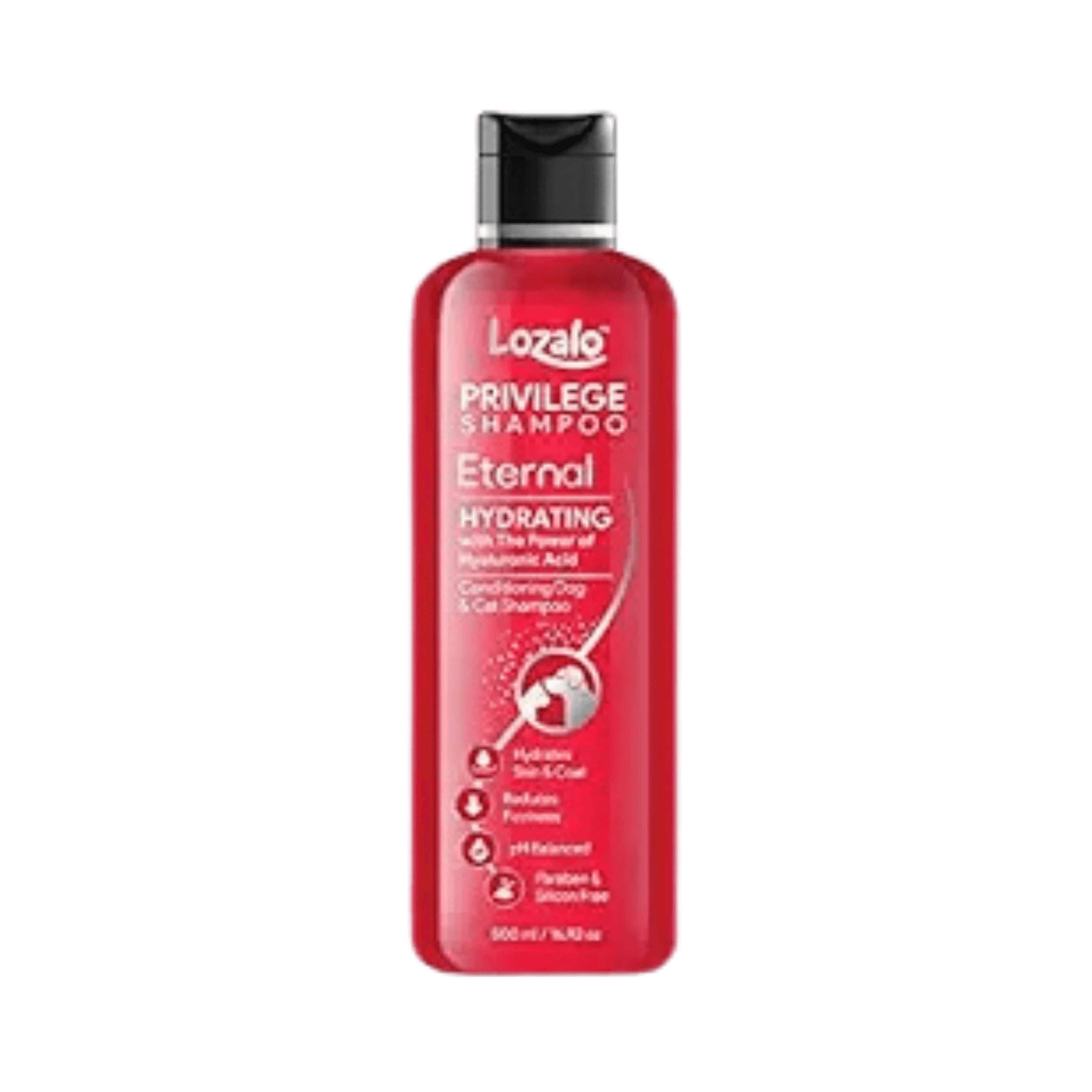 LOZALO PR ETERNAL CONDITIONING