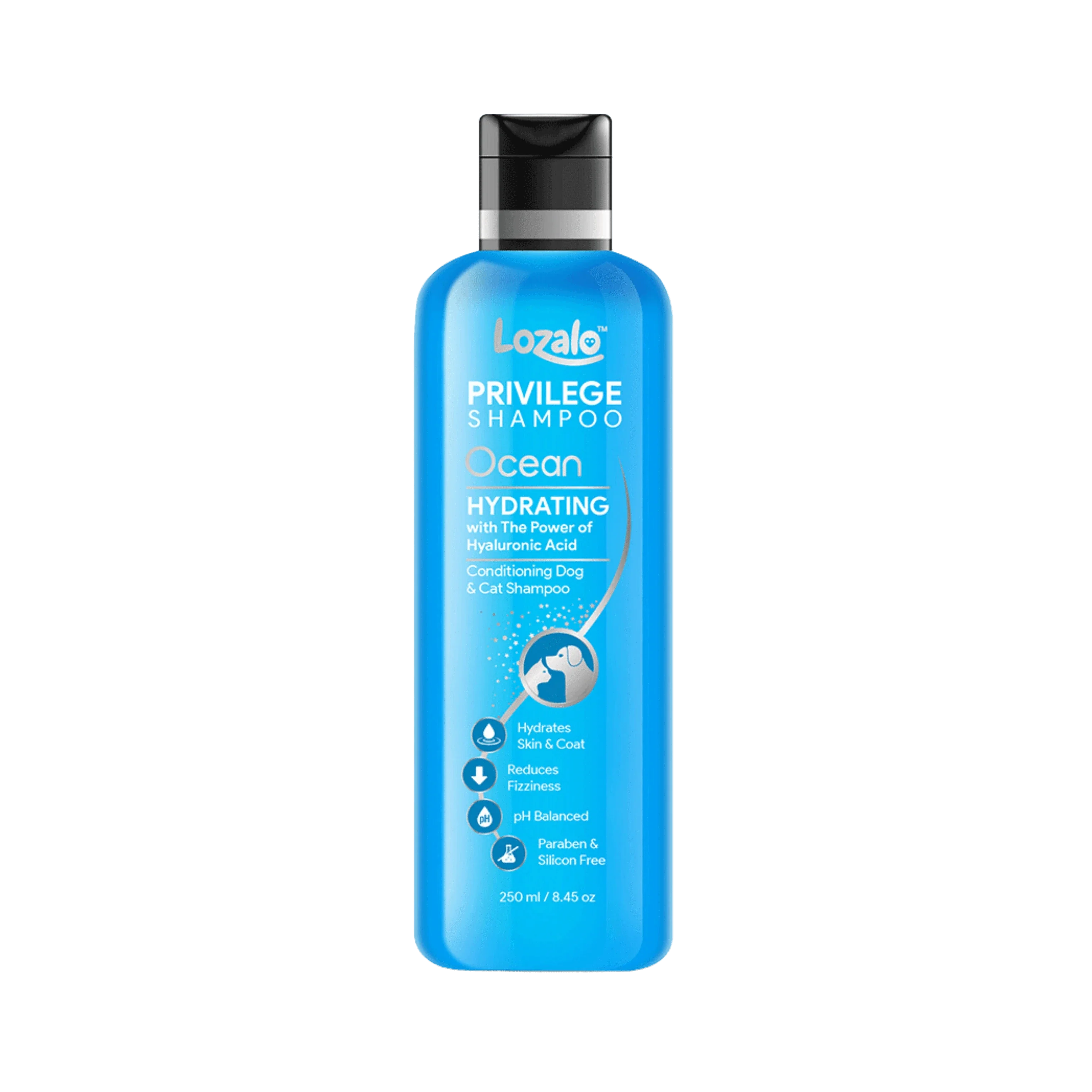 LOZALO PR OCEAN CONDITIONING