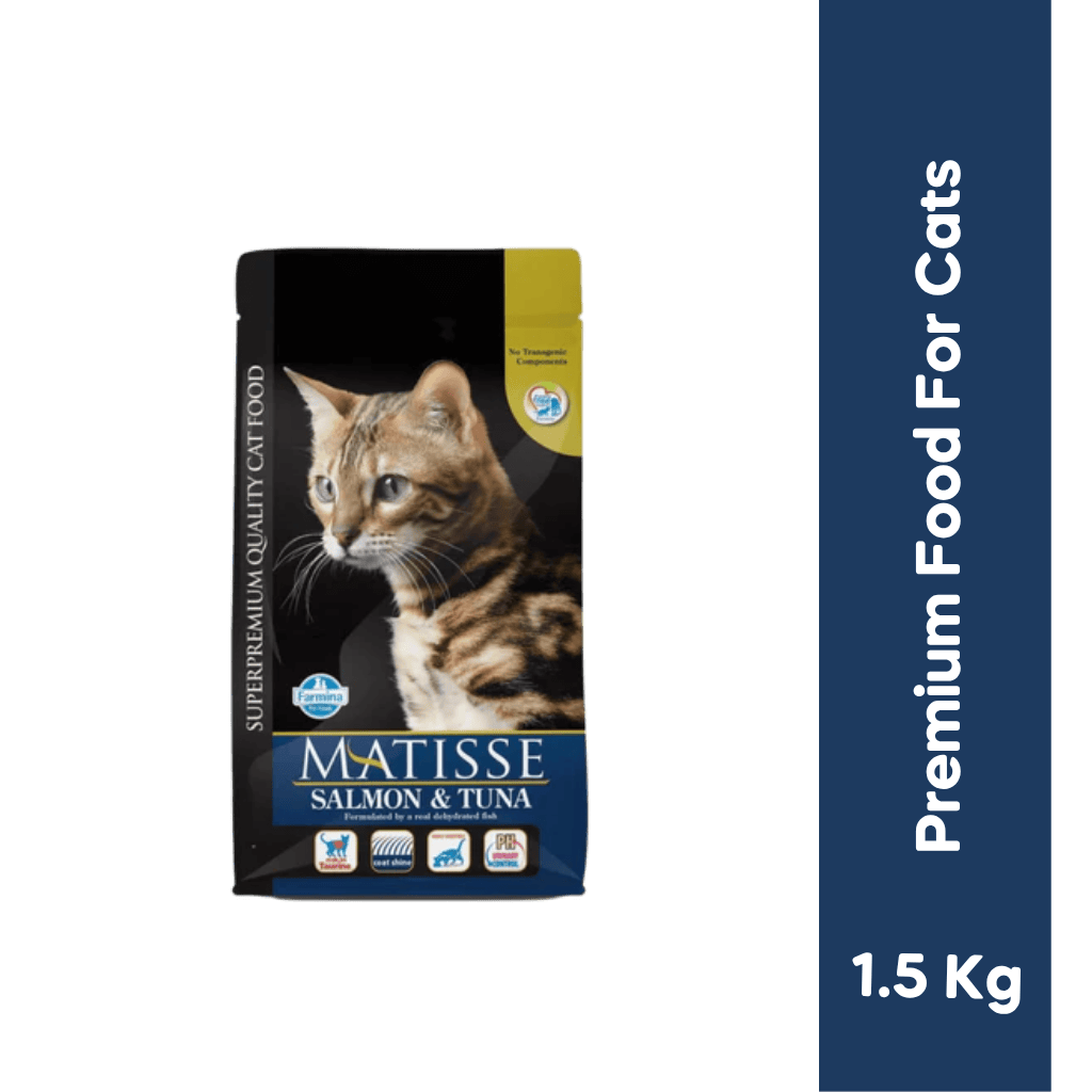 MATISSE SALMON & TUNA DRY FOOD (S)