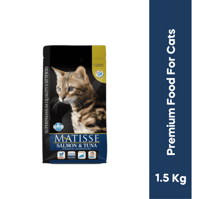 MATISSE SALMON & TUNA DRY FOOD (S)