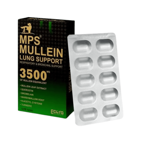 MPS MULLEIN LUNG SUPPORT