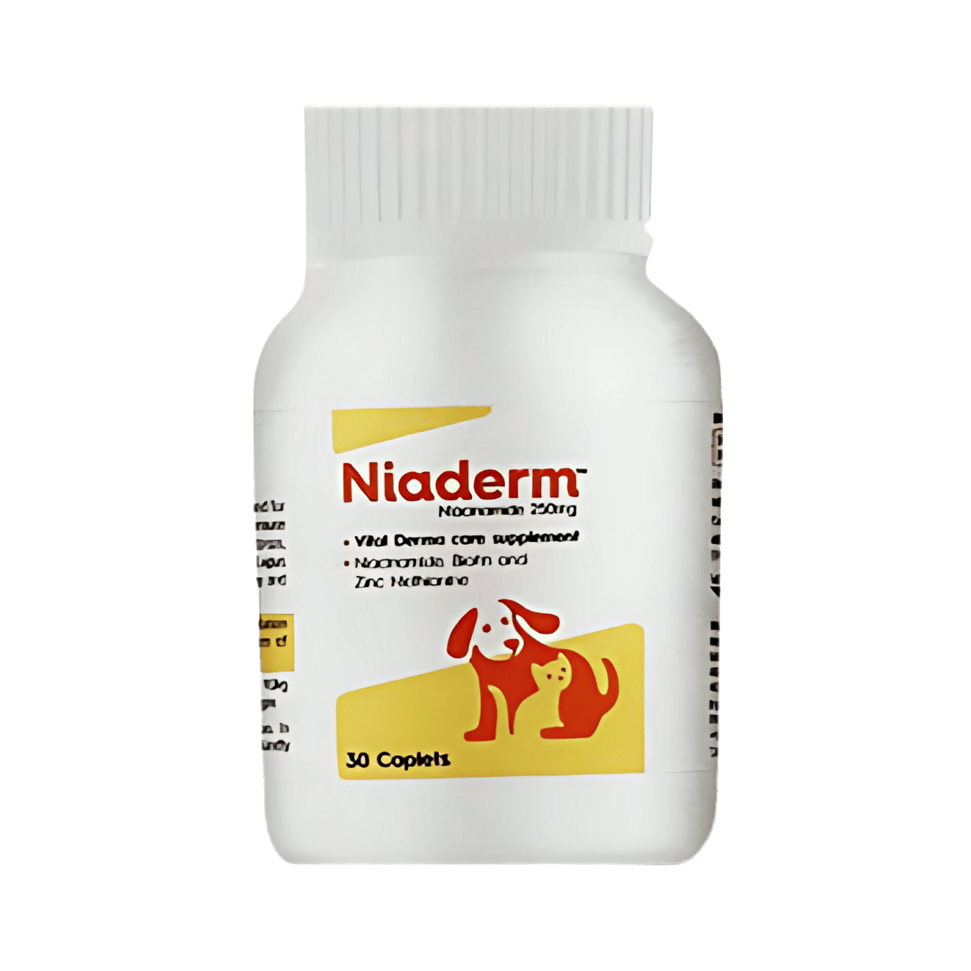 NIADERM 250MG TABLET