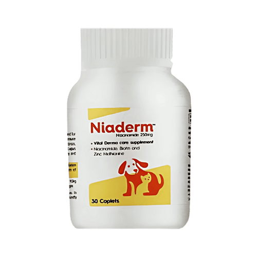 NIADERM 250MG TABLET