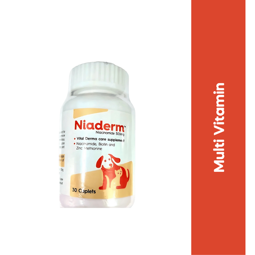 NIADERM 500MG TABLET
