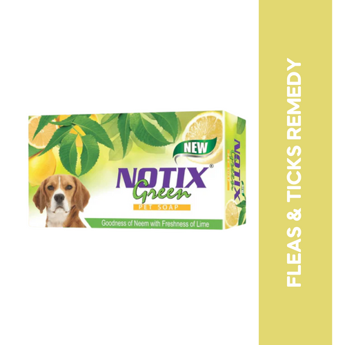 NOTIX GREEN SOAP