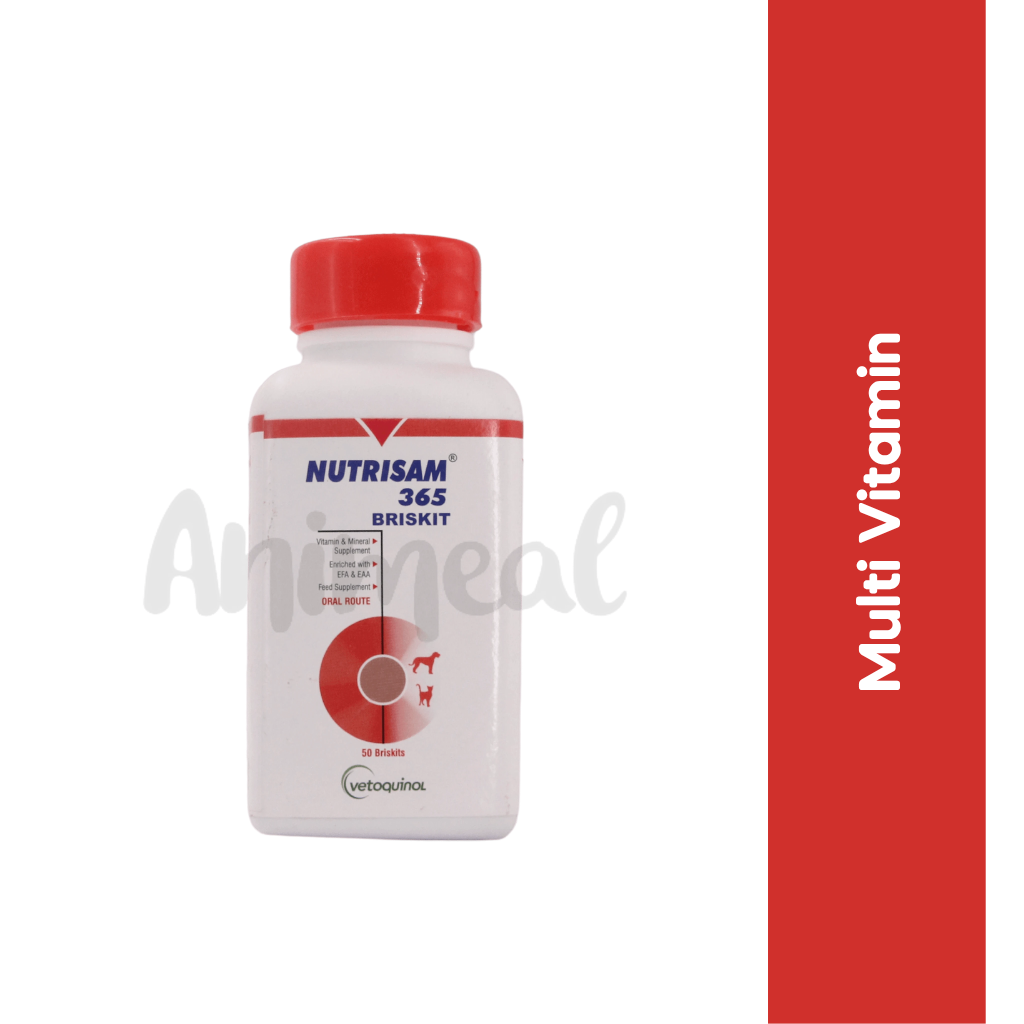 NUTRISAM 365 BRISKIT TABLET