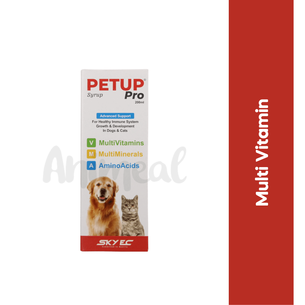 PET UP PRO SYRUP (L)
