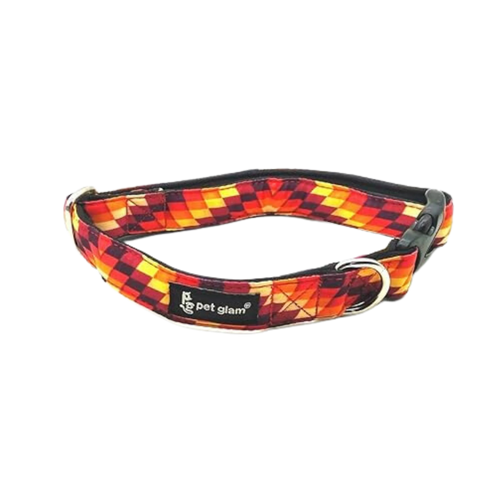 PG COLLAR BLAZE (M)