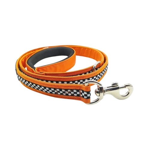 PG DOG LEASH IGNITE (L)