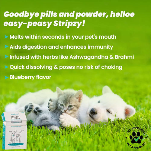 STRIPZY PET TABLET