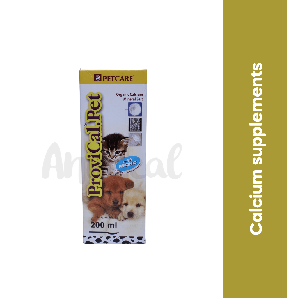 PROVICAL PET SYRUP (L)