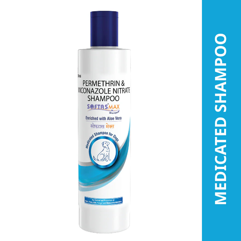SOFTAS MAX SHAMPOO