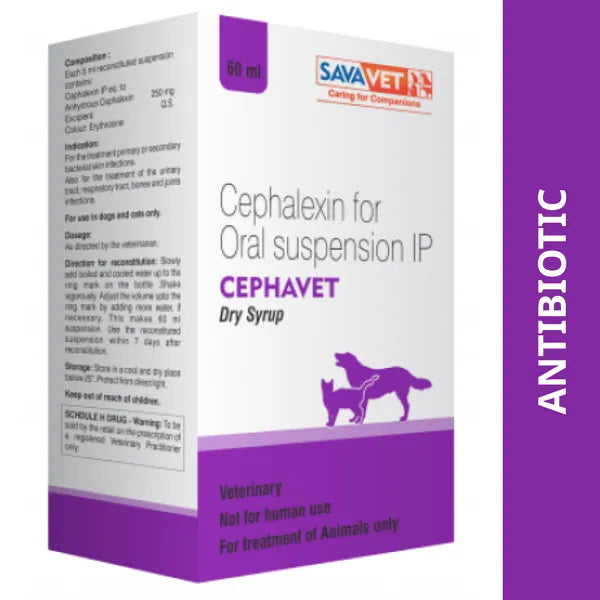 CEPHAVET DRY SYRUP