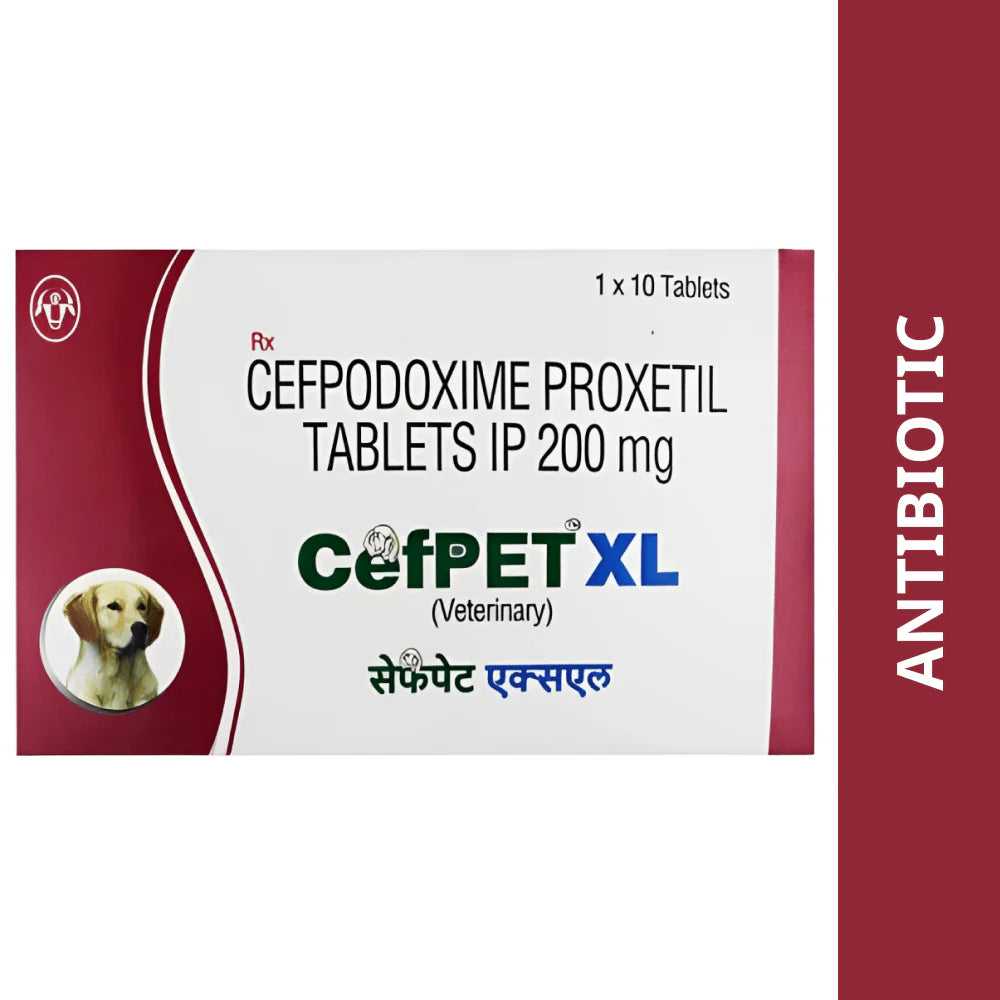 CEFPET XL TABLET