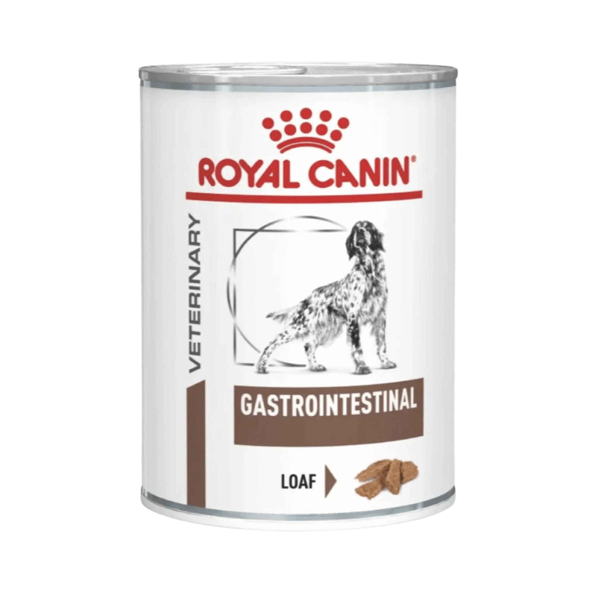 RC GASTRO DOG CAN FOOD