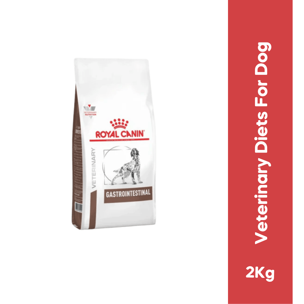 RC GASTRO DOG DRY FOOD (S)