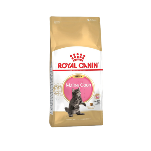 RC KITTEN MAINE COON DRY FOOD (S)
