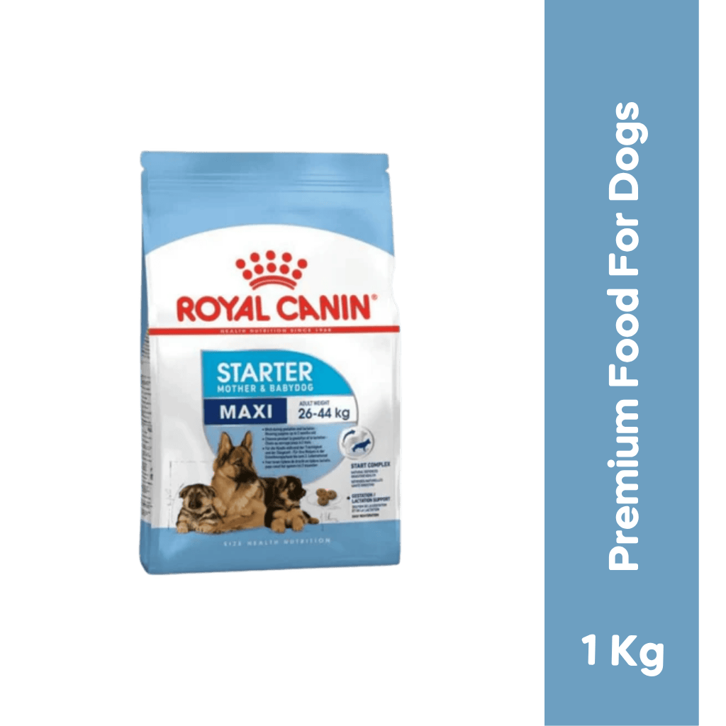 ROYAL CANIN MAXI STARTER DRY FOOD (M)