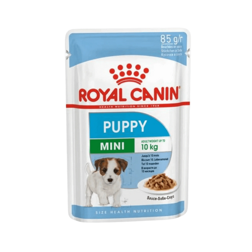 RC MINI PUPPY GRAVY