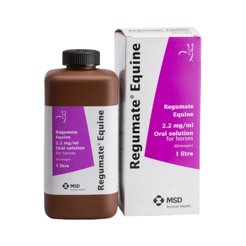 REGUMATE EQUINE LIQUID