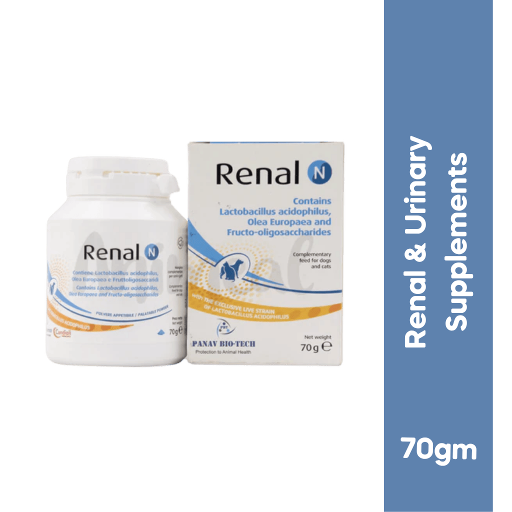 RENAL N POWDER