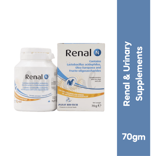 RENAL N POWDER