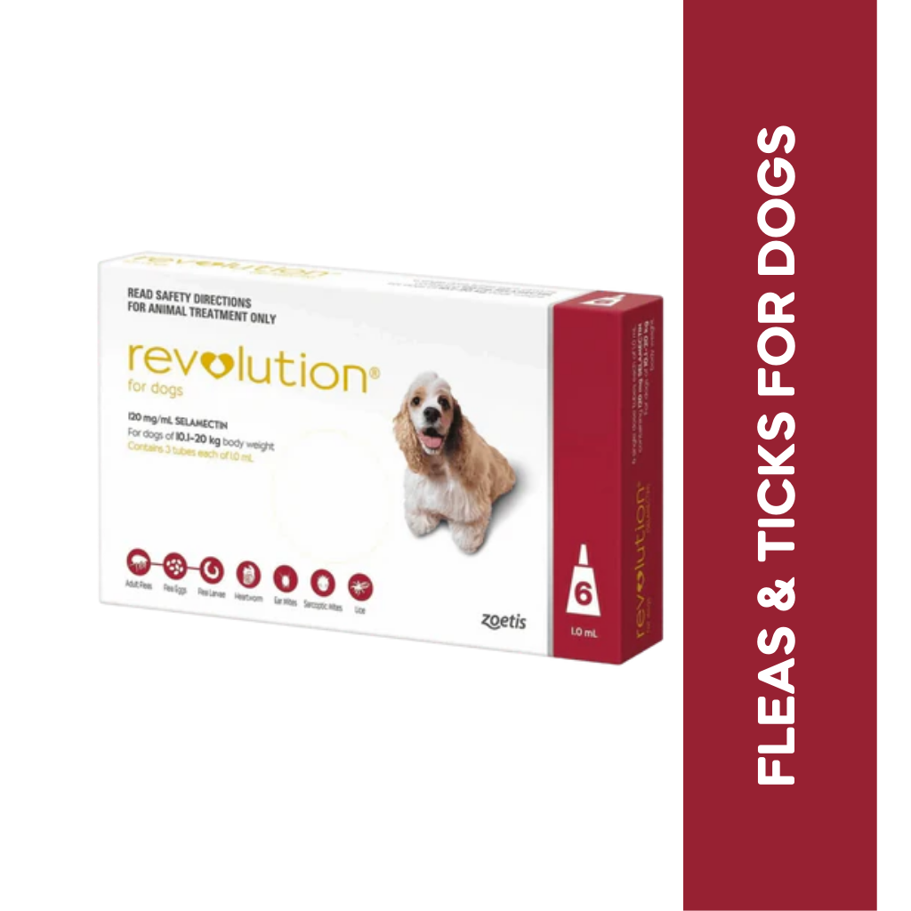 REVOLUTION (10-20KG) DOG SPOT ON