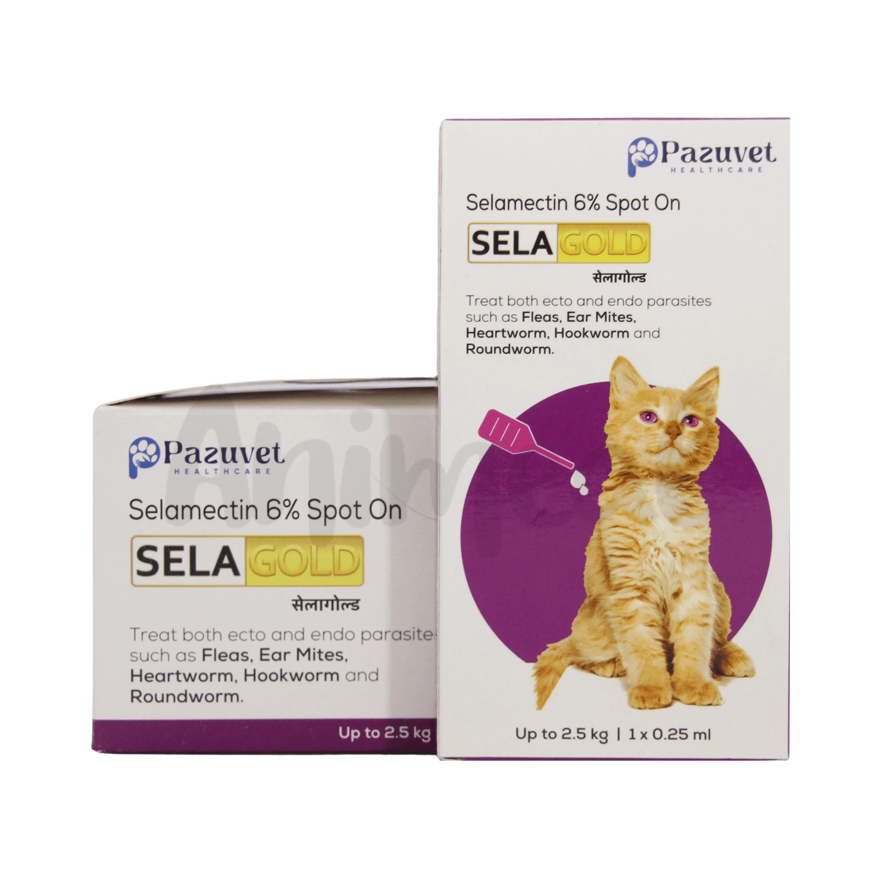 SELAGOLD SPOT ON UP TO 2.5KG