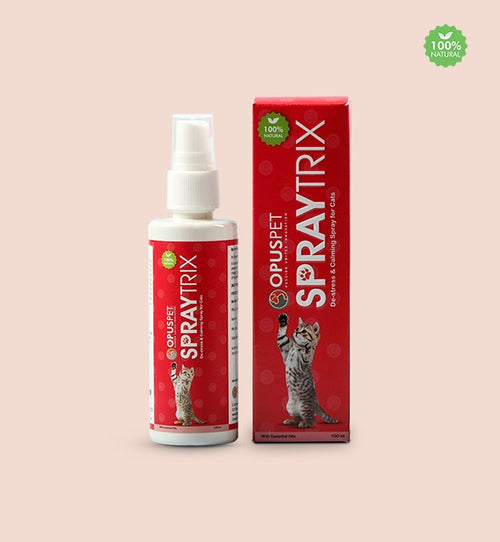 SPRAY TRIX CAT SPRAY
