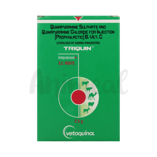TRIQUIN INJ