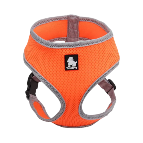 TRUELOVE CAT & SMALL DOG HARNESS ORANGE (M)