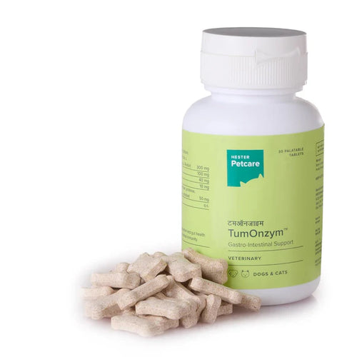 TUMONZYM TABLET [30 TAB]