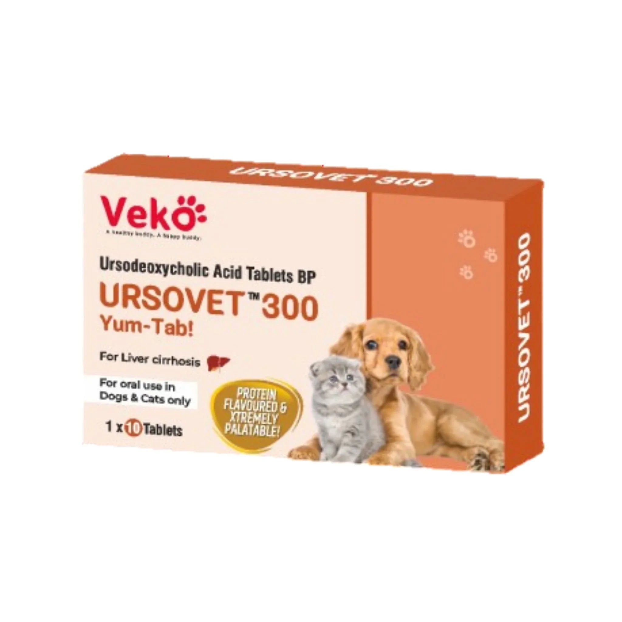 Ursovet 300mg Tablet