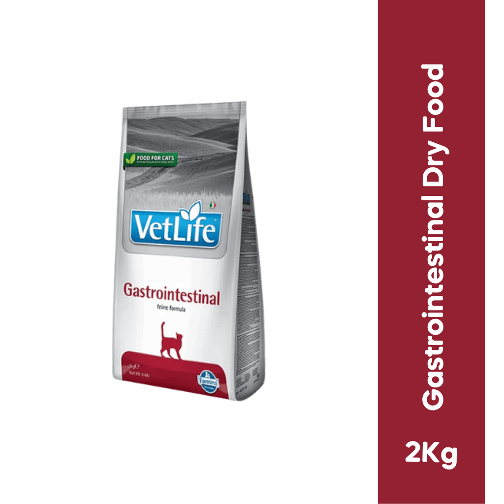 VETLIFE GASTRO CAT DRY FOOD (S)