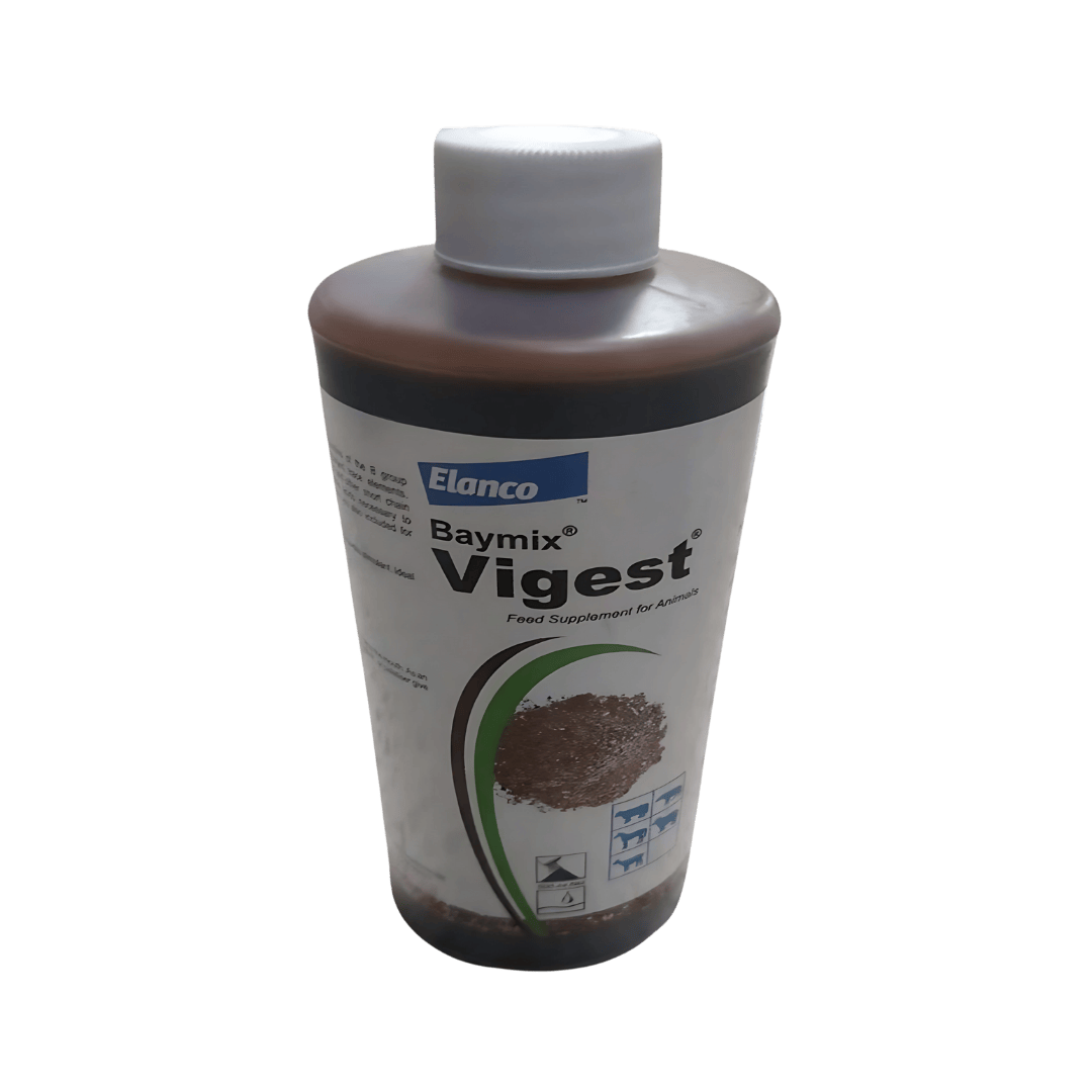 VIGEST LIQUID