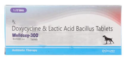 WELLDOXY-300MG TABLET