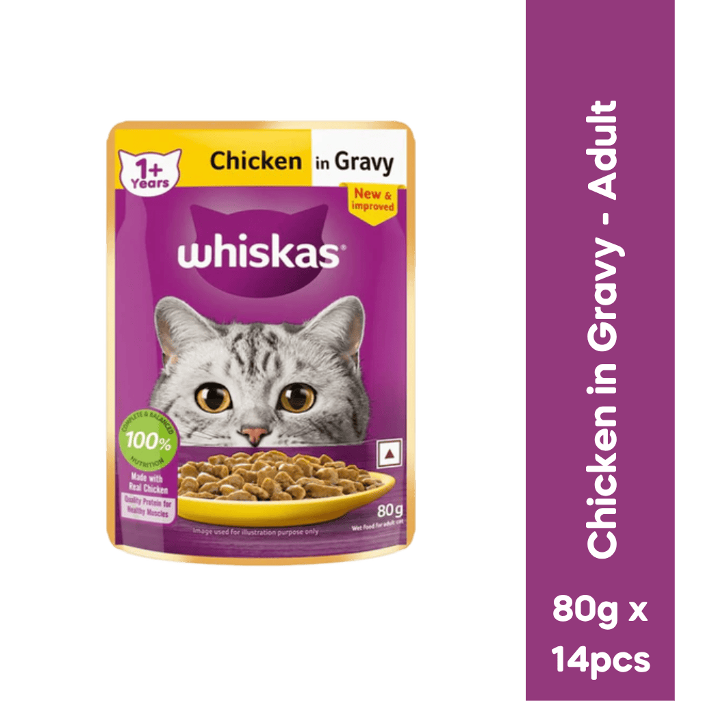 WHISKAS ADULT CHIC GRAVY