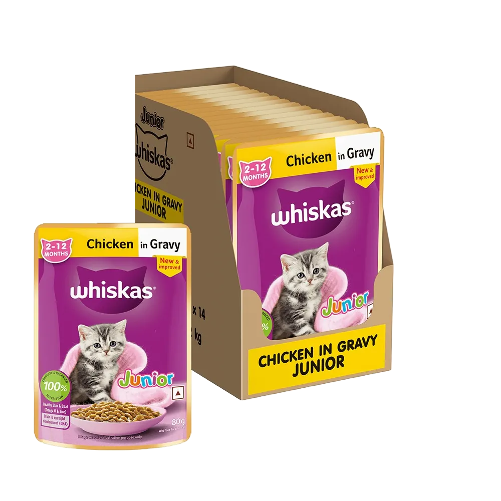 WHISKAS KITTEN CHICKEN JELLY FOOD 1 pis